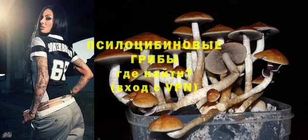 стафф Киренск